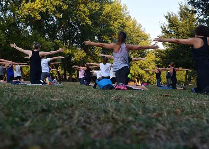 Radici dello Yoga