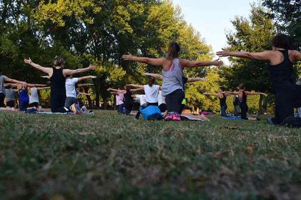 Radici dello Yoga